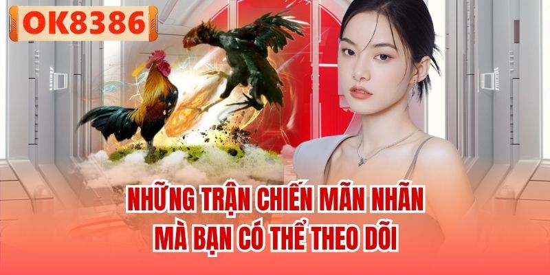 Những trận chiến mãn nhãn mà bạn có thể theo dõi