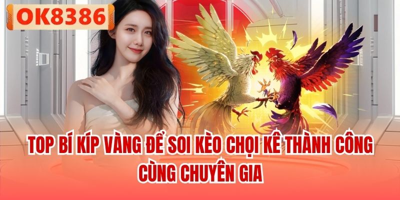 Top bí kíp vàng để soi kèo chọi kê thành công cùng chuyên gia